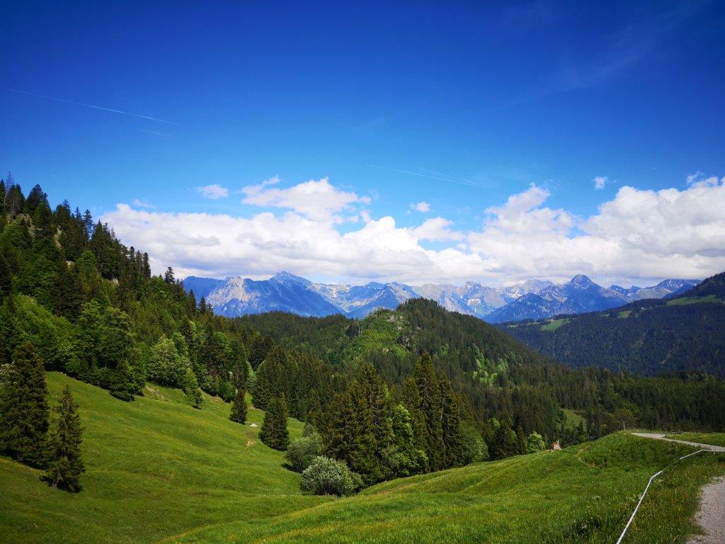 Ausblick