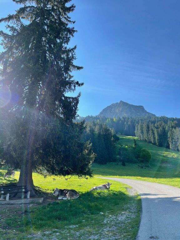Erschöpfung vorbeugen